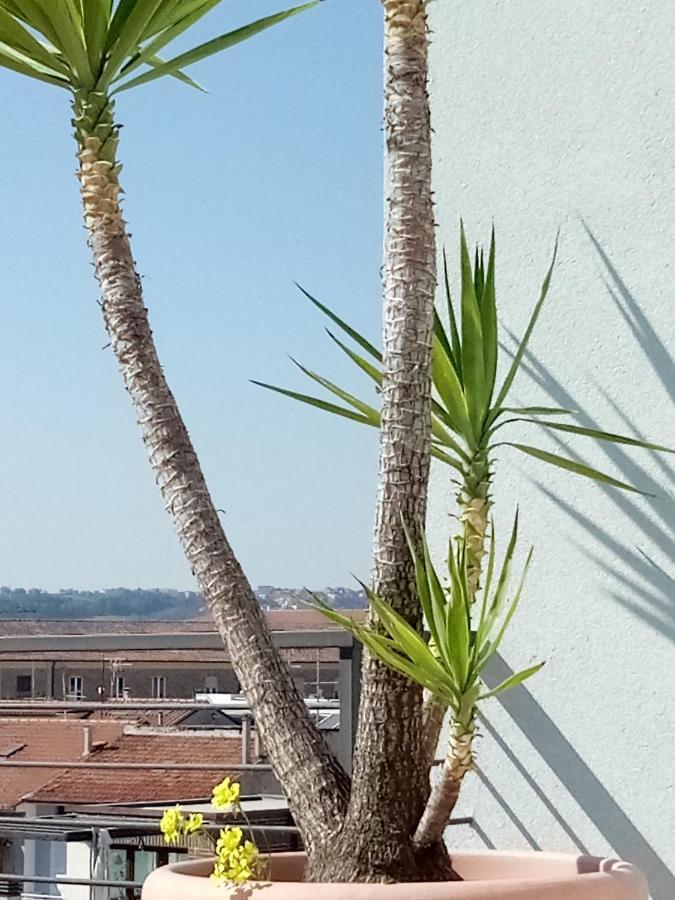 Hotel Chiaraluna Civitanova Marche Eksteriør billede